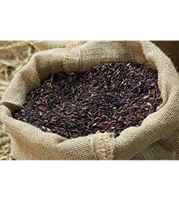 Grain Bags